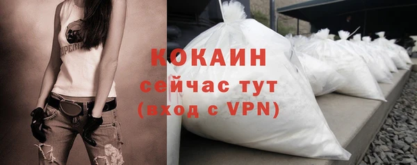 PSILOCYBIN Белокуриха
