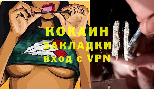 PSILOCYBIN Белокуриха