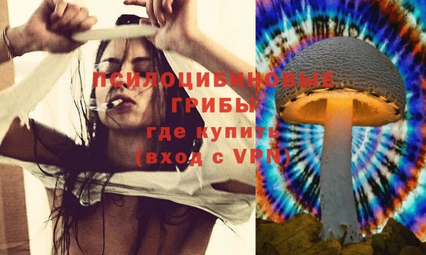 PSILOCYBIN Белокуриха