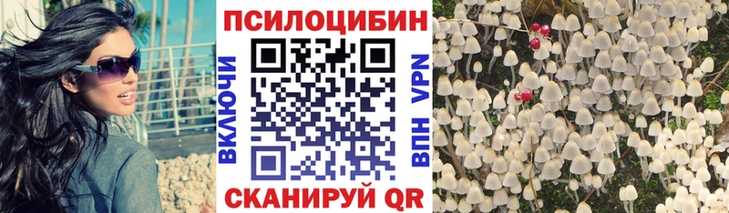 Галлюциногенные грибы Cubensis где купить наркоту Очёр